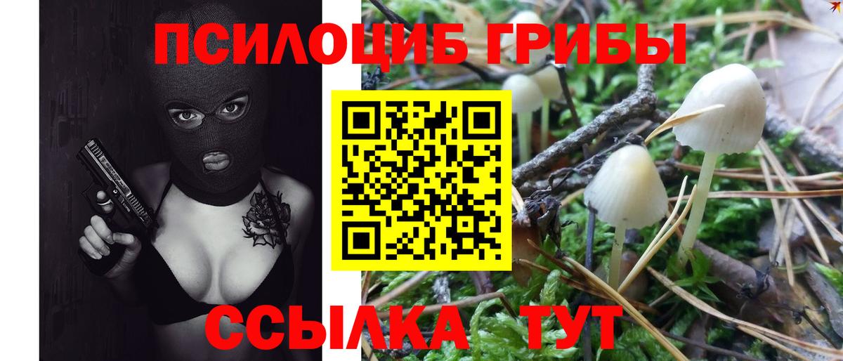 Псилоцибиновые грибы Psilocybine cubensis  Вход с VPN  Псилоцибиновые грибы мицелий  цены   Амурск 